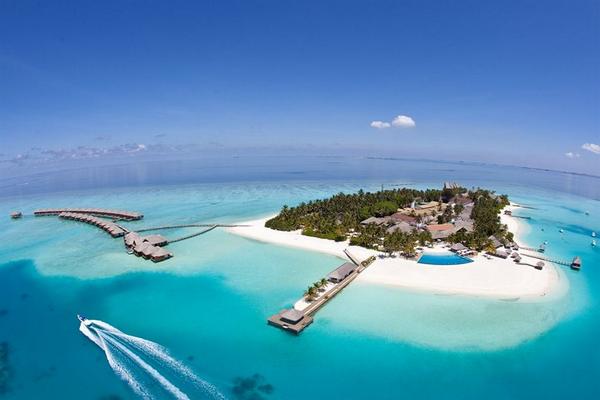 QuickerBookcom's tweet image. Beautiful island life. Velassaru Maldives... quickerbook.com/h/#VelassaruMa…