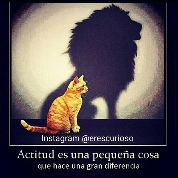EresCurioso's tweet photo. http://t.co/xY2AnZpEL3