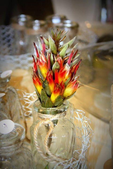 #FloweredEarth Keeping it simple #Namibia #Flowers #Windhoek #gardenchat