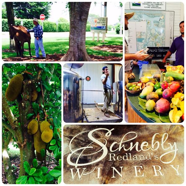 LocavoreMiami's tweet photo. Get #backtothebasics in #ruralMiami @RedlandFL #freshfruit #avocadowine #locavore #miami #SouthFloridaLiving #nature http://t.co/LKn8mCezlA