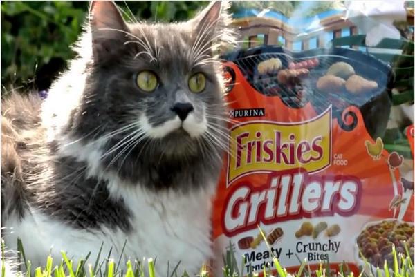 PSFK's tweet image. Trending: Celebrity Cats Video Uses YouTube Views to Donate Food to Animal Shelters - PSFK bit.ly/1uuSAGT