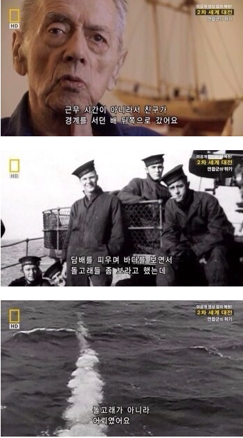 그땐 돌고래인줄 알았습니다.