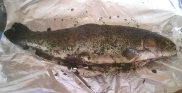 VitkiGurman's tweet image. Losos pastrmka je dobila masažu začinskim biljem, a onda leti u koru od soli i rernu :) #HerbalMassage   #SaltCrust