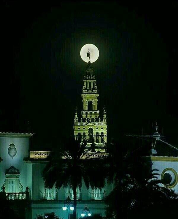 Juan Ignacio Zoido (@zoidoji) on Twitter photo Espectacular imagen de @LaGiraldaSVQ de <a href="/FPozo_SC/">Fernando Pozo</a> 'Hace frío y la luna abraza al Giraldillo'. #MeGustaSevilla Espectacular imagen de @LaGiraldaSVQ de <a href="/FPozo_SC/">Fernando Pozo</a> 'Hace frío y la luna abraza al Giraldillo'. #MeGustaSevilla