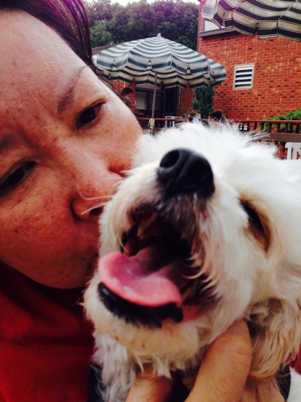 DonnaCBoehme's tweet image. Bionic therapy dog!

Thank you friends for the kind wishes. They lift my spirits! 
#smallstepsforward