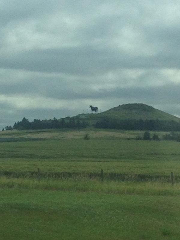 JJaskowiak's tweet photo. Moooooo http://t.co/LIH7hSv4fm