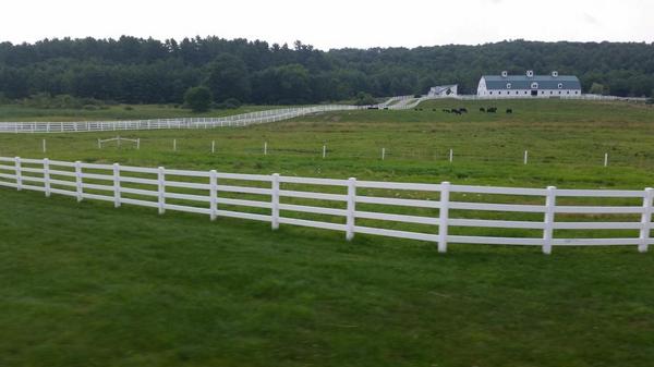 Melissa Kenison tweet media