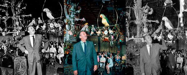 "The way to get started is to quit talking and begin doing." - Walt Disney
