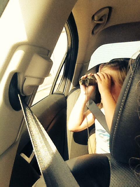 jbstrugglecity's tweet image. Looking for the beach!
Found it.  Kansas tree stands yesterday Florida today.  #notsc