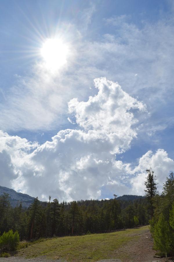 LeeCanyonLV's tweet photo. G'morning! it's a #sundaysideup kinda day. #leecanyon #summer #hiking http://t.co/B3lMgMl0Ff
