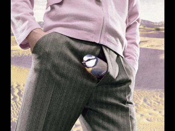 HeldEdith's tweet image. Vögel sind so einfach zu halten!