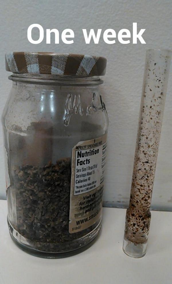 OU stoner nation. tweet media