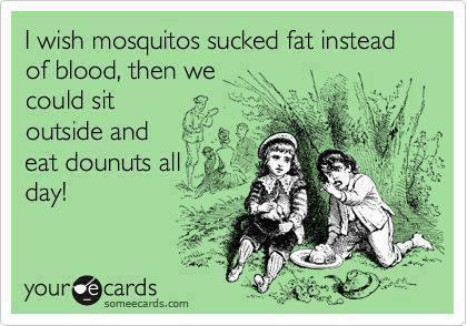 CampTrip (@camptrip) on Twitter photo 