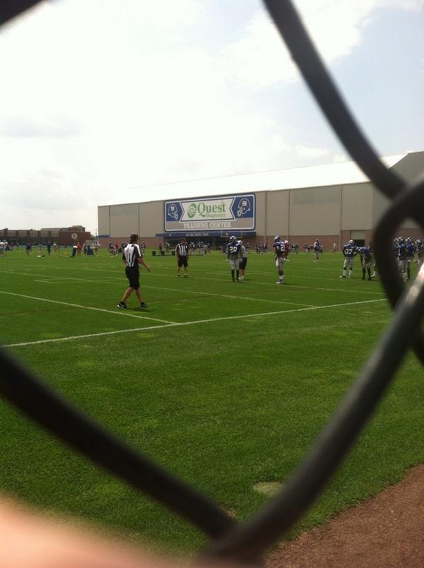 THE PLUNGE tweet media