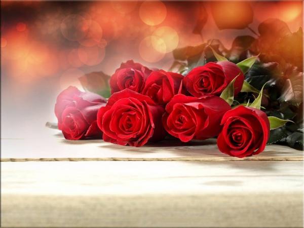 𝕮𝖆𝖒𝖎𝖑𝖑𝖆 ❧ tweet media