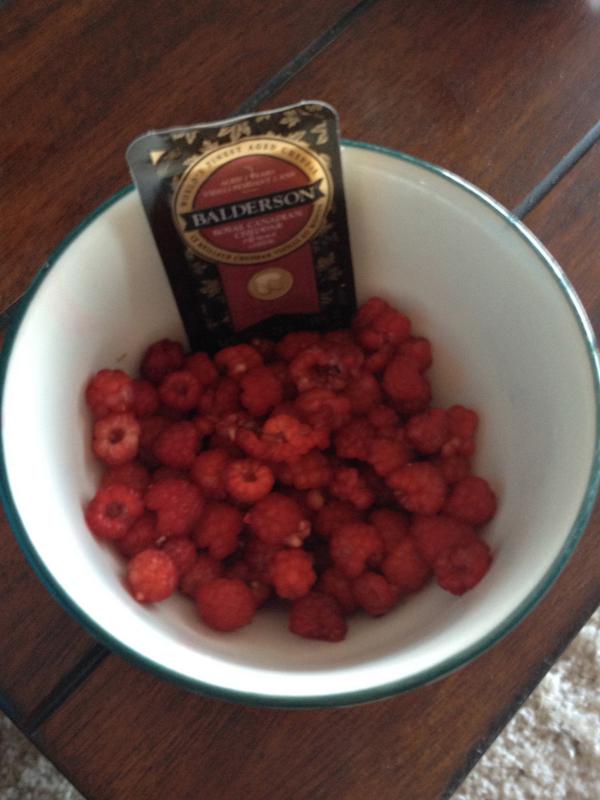 Raspberry Treasure fresh picked treasures #familytime #runbikeblade #whitemudcreek # ...