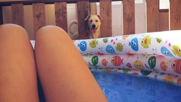 DmfSandra's tweet photo. Nada q se tiene q meter...#estanecesitaunnovioperoyaaaa http://t.co/cBEoYdPA0V