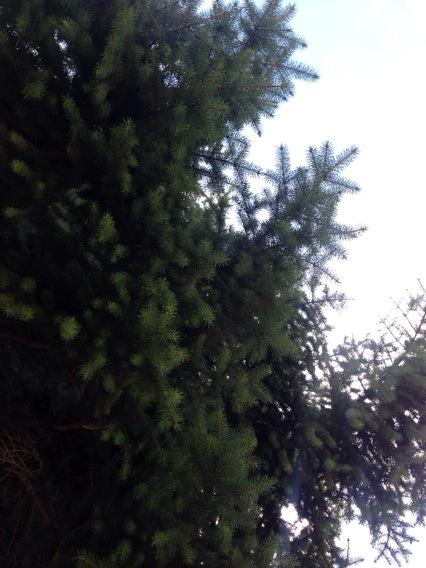 mobilewrenches's tweet image. What a nice day!!!