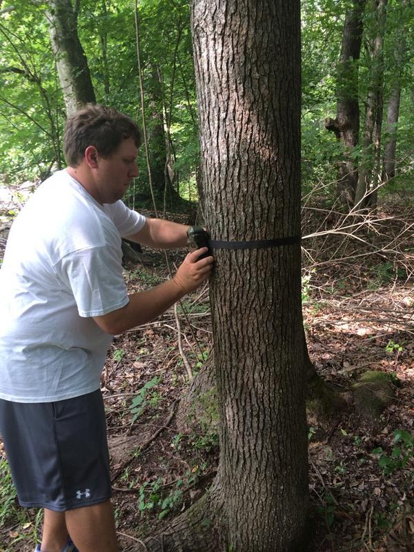 jstricklin32's tweet photo. @HA_Outdoors Team TN placing trail cams #velvetbucks @mtkf14 @alexjseaton24 http://t.co/ZhifGhQoEa
