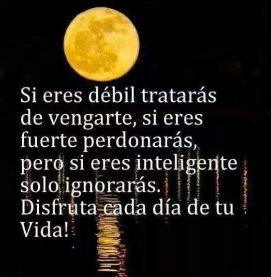 accionp0eticaes's tweet photo. Si eres débil tratarás de vengarte,... http://t.co/eFJ4ORjCKC