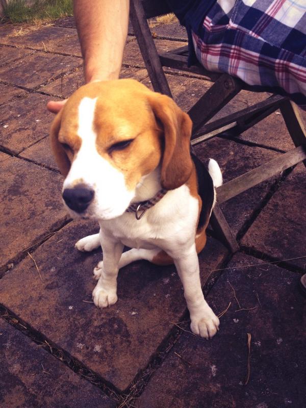 That. Feels. AWESOME. KEEP SCRATCHING....