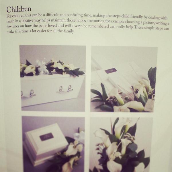 HHpetfunerals's tweet photo. Brochure, for further inquires please email:helen@hhpetfunerals.co.uk. http://t.co/RDLTlw3SE1