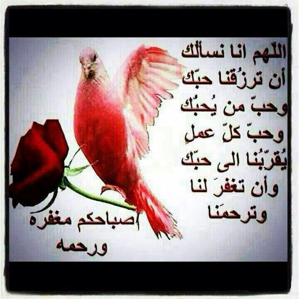 faeyzw755's tweet photo. صباح القفران و السسسسعادة http://t.co/PqYCrnPL4S
