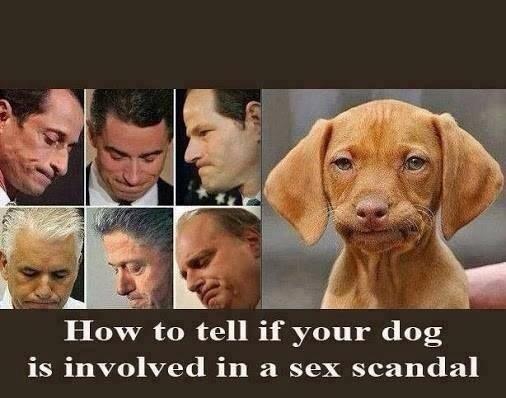 ShmooReport's tweet image. The sex scandal look