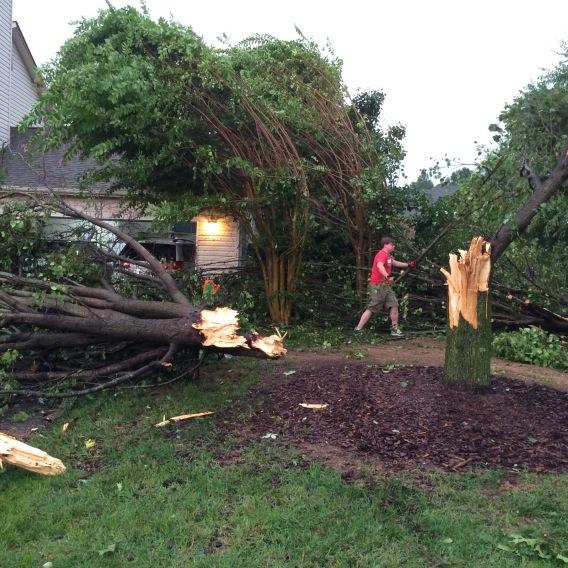 WCYB_PepTalk's tweet image. Chainsaws are fired up in Wiltshire neighborhood in Gray, TN @WCYB_DavidBoyd