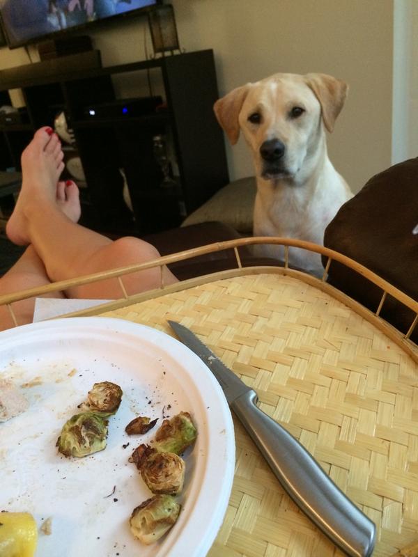 Sunday nights are my favorite when it's a <a href="/TraderJoesList/">Trader Joe's List</a> dinner with <a href="/CharlieDog17/">Sir Charles</a> and chef <a href="/coryguzzo/">Cory Guzzo</a> #myboys