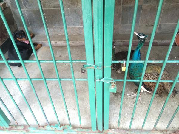 JasonDoo3's tweet photo. http://t.co/j2BuX66QpE