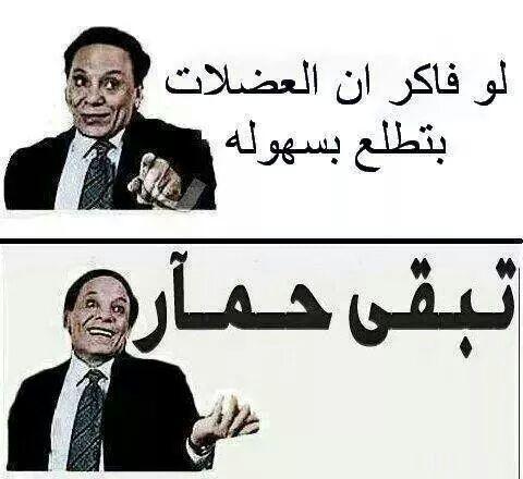 zeinahossam (@zeinahossam1) on Twitter photo 