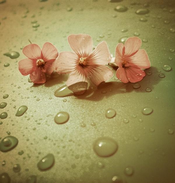 Firebeba's tweet image. Сегодня дождь, а надо ехать по делам! Люблю дождь, ненавижу дела)