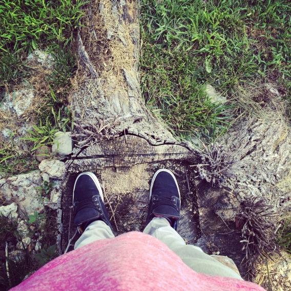 EhterCT's tweet image. 