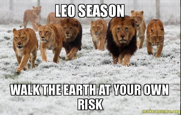 Leo_Tweets's tweet photo. True 😂 http://t.co/GBkYqcN4HM