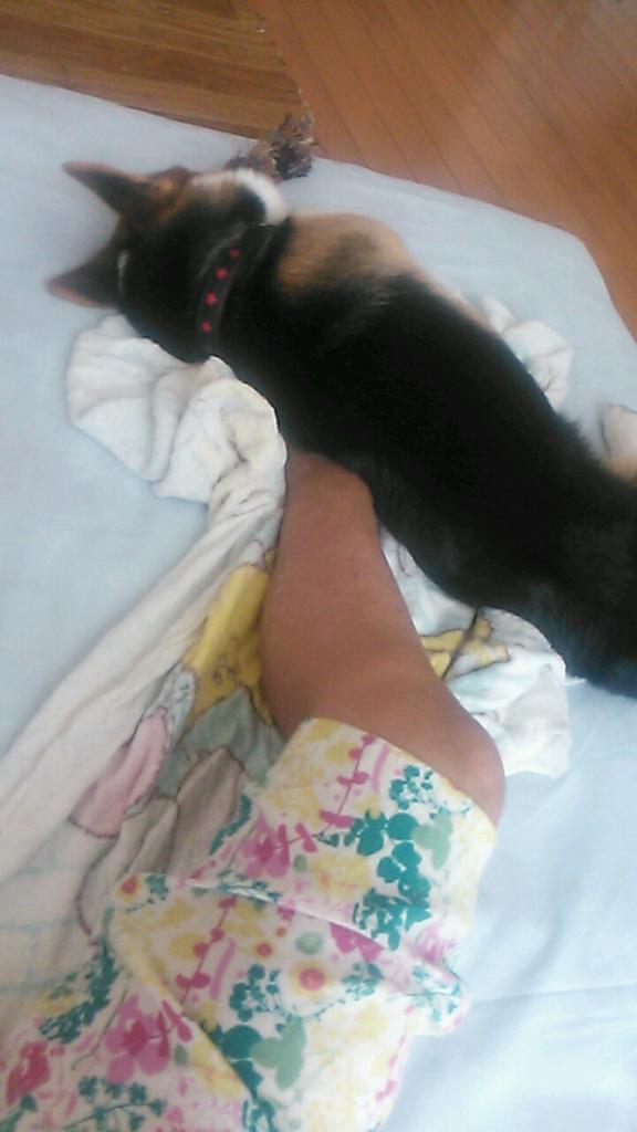 maria44713709's tweet photo. エドちゃんとお��団なーう♡ http://t.co/El86to4JwQ
