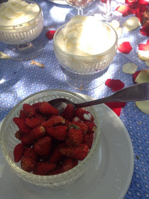 Charlotte tweet media