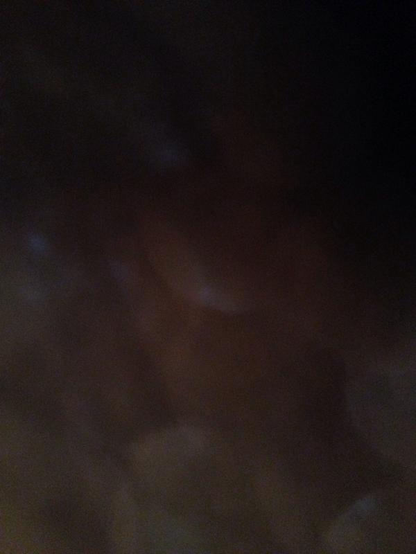 VaartscheRijn's tweet photo. http://t.co/AC9TqmM4Ud