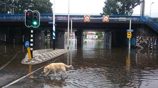 Ringbaan Oost tilburg #wateroverlast