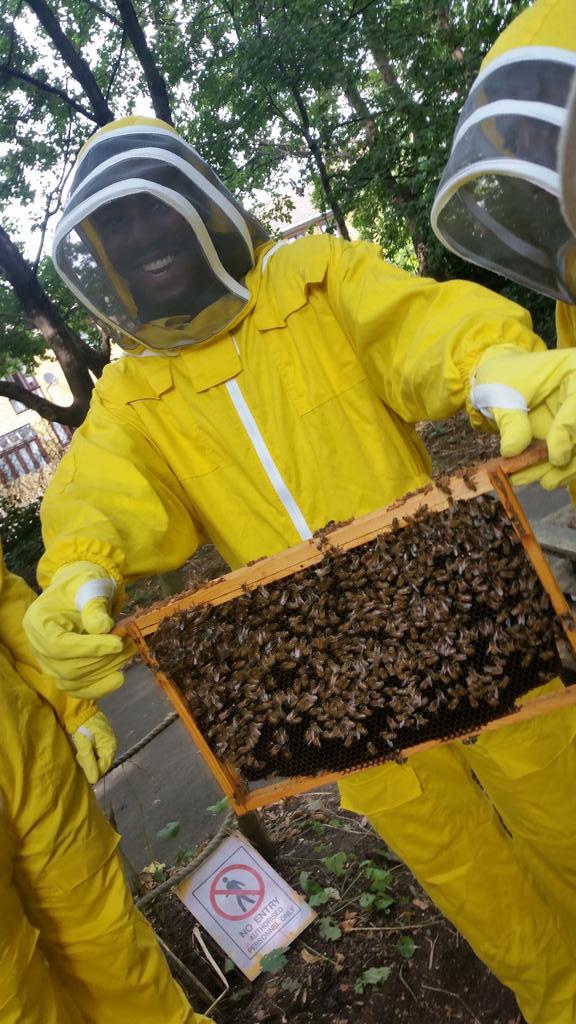 The Golden Co tweet media