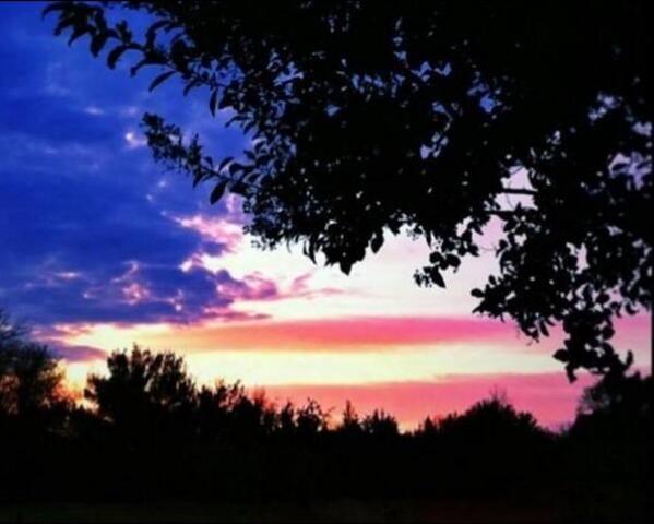 Vets Inc tweet media