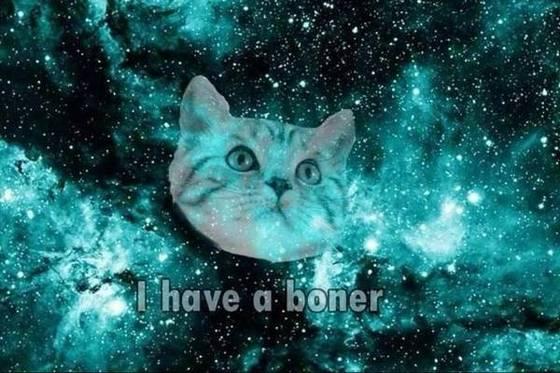 EncryptedG's tweet image. Just putting it out there.