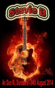 Stevie B playing in An Dun Rí, 02nd &amp; 04th August 2014. 40th Dunmore Annual Festival 01st-10th August