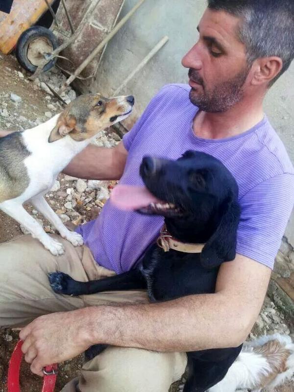 yolygamez's tweet photo. @AiniApgg RT! @LASAnimal: Nadie se fija en #NORUEGA, simpatiquisima!! AYUDA PARA RESIDENCIA, ACOGIDA/ADOPCION! http://t.co/ertpHgVpYp