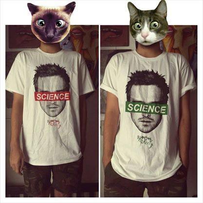 Reprint. #BreakingBad  #jesselives #brickcitynoise