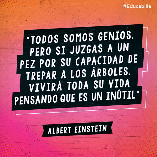 Educabilia tweet media