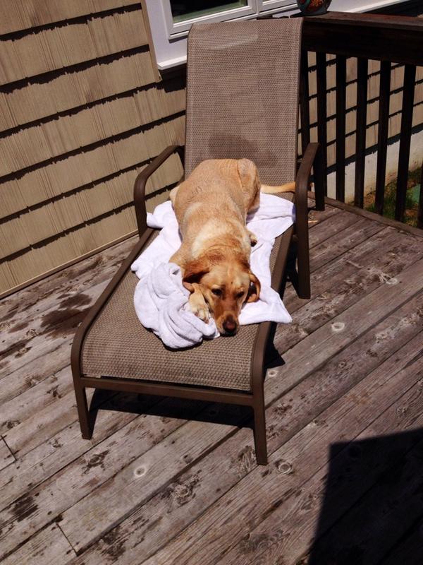 TuckProblems's tweet image. My life stinks.....NOT #tucklife