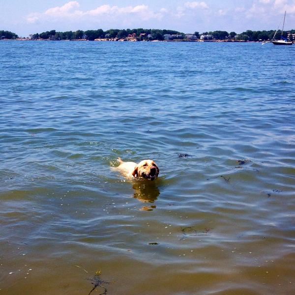 TuckProblems's tweet image. My life stinks.....NOT #tucklife