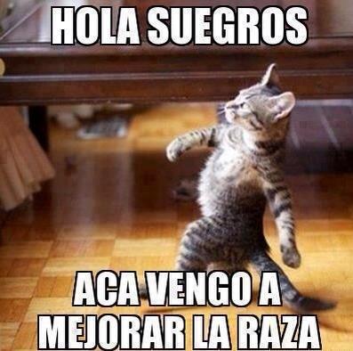 christi07548831's tweet photo. Asi nomas jaja http://t.co/9oASvxOihD