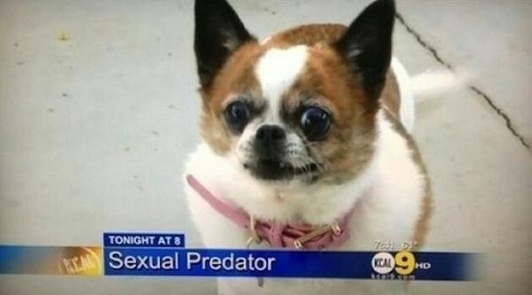 JizzMejia's tweet photo. @kyleefagnola  Bee careful. http://t.co/Z6WDLQFMnC